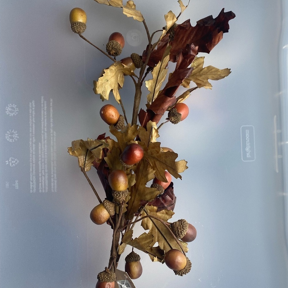 NWT Set of 6 fall acorn picks